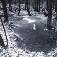 2004