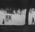 Thumbnail for version as of 16:15, 21 April 2022