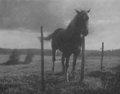 Thumbnail for version as of 16:14, 21 April 2022